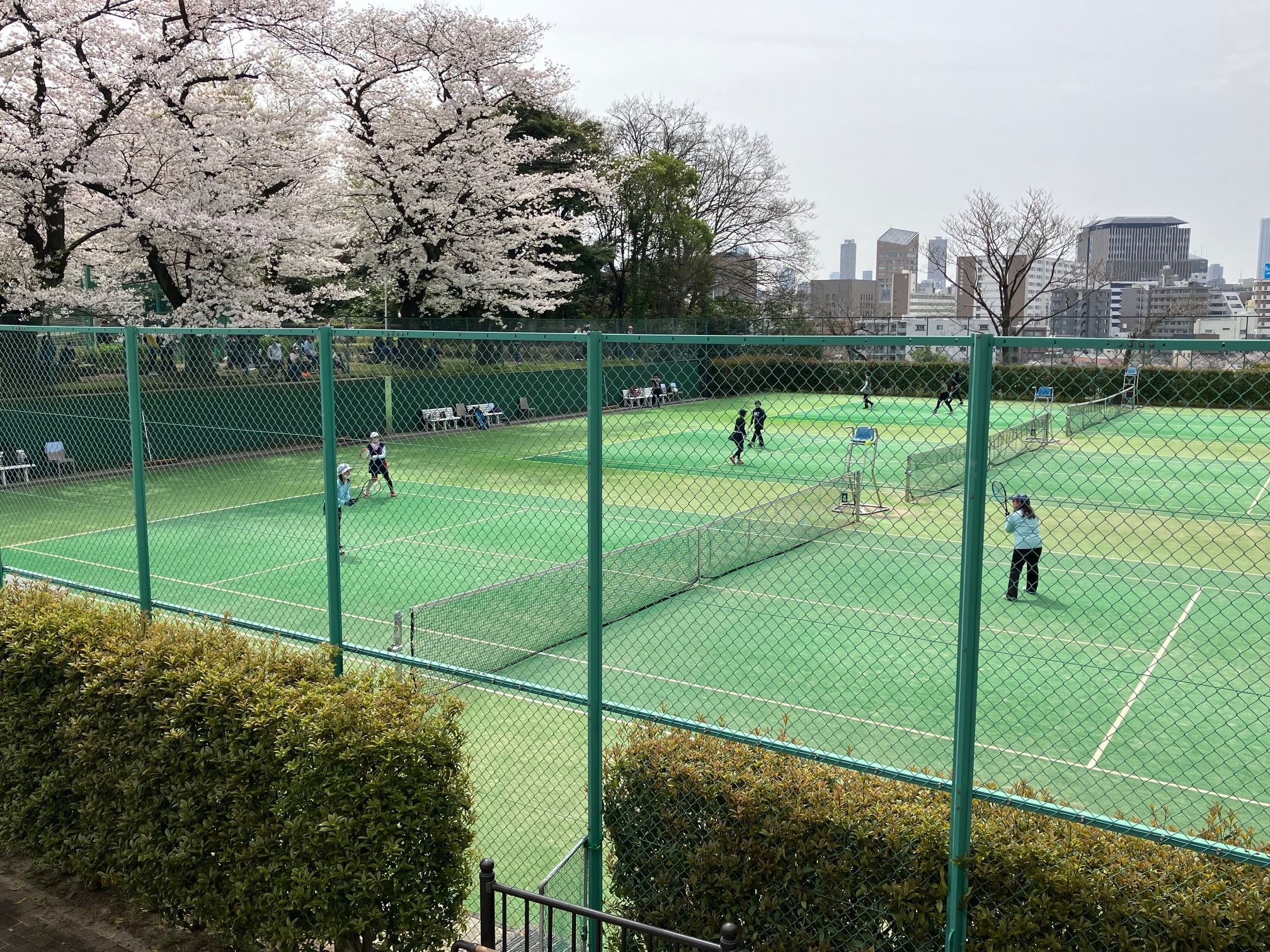 2023年4月 春季大会